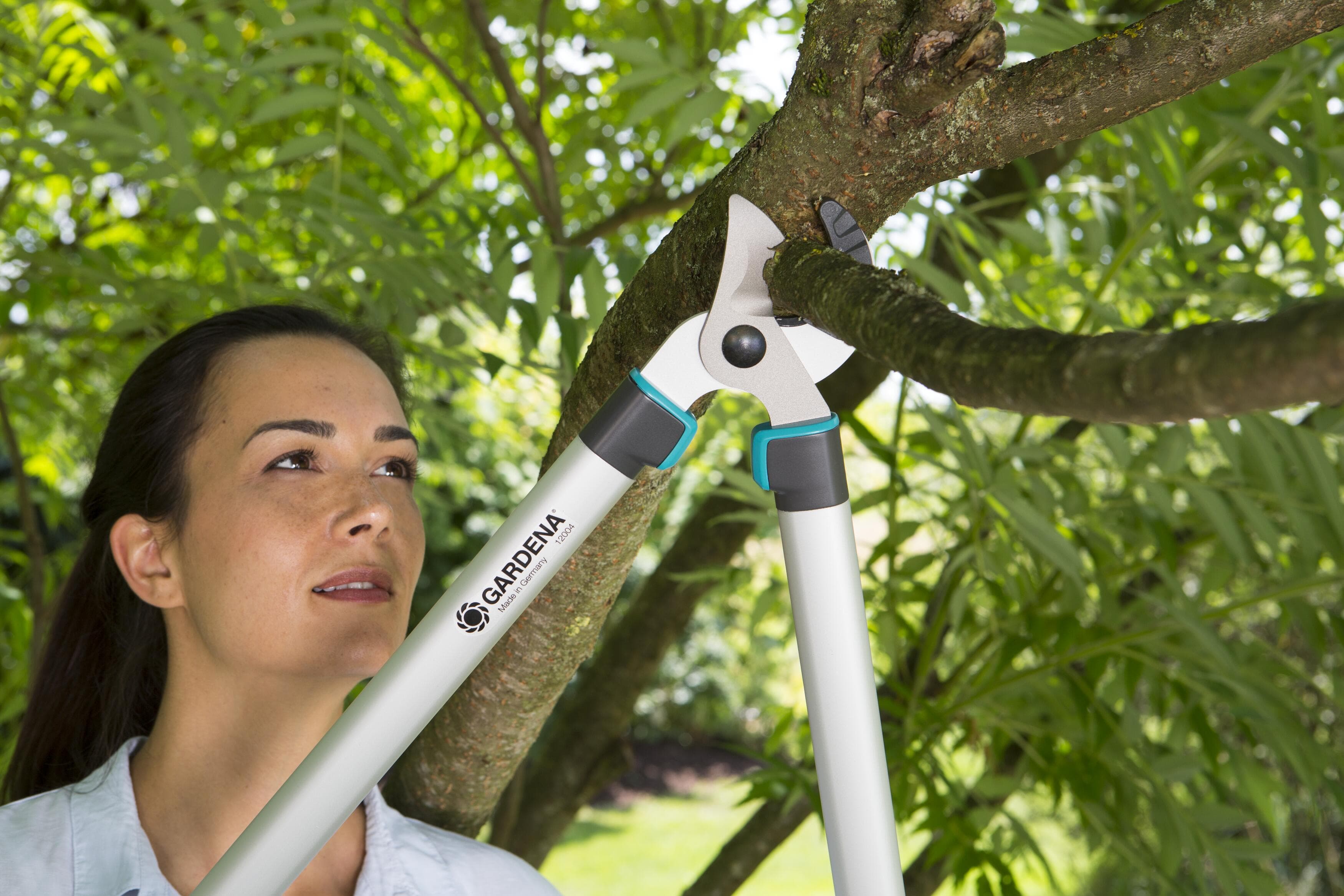 Pruning Lopper EasyCut 680 A