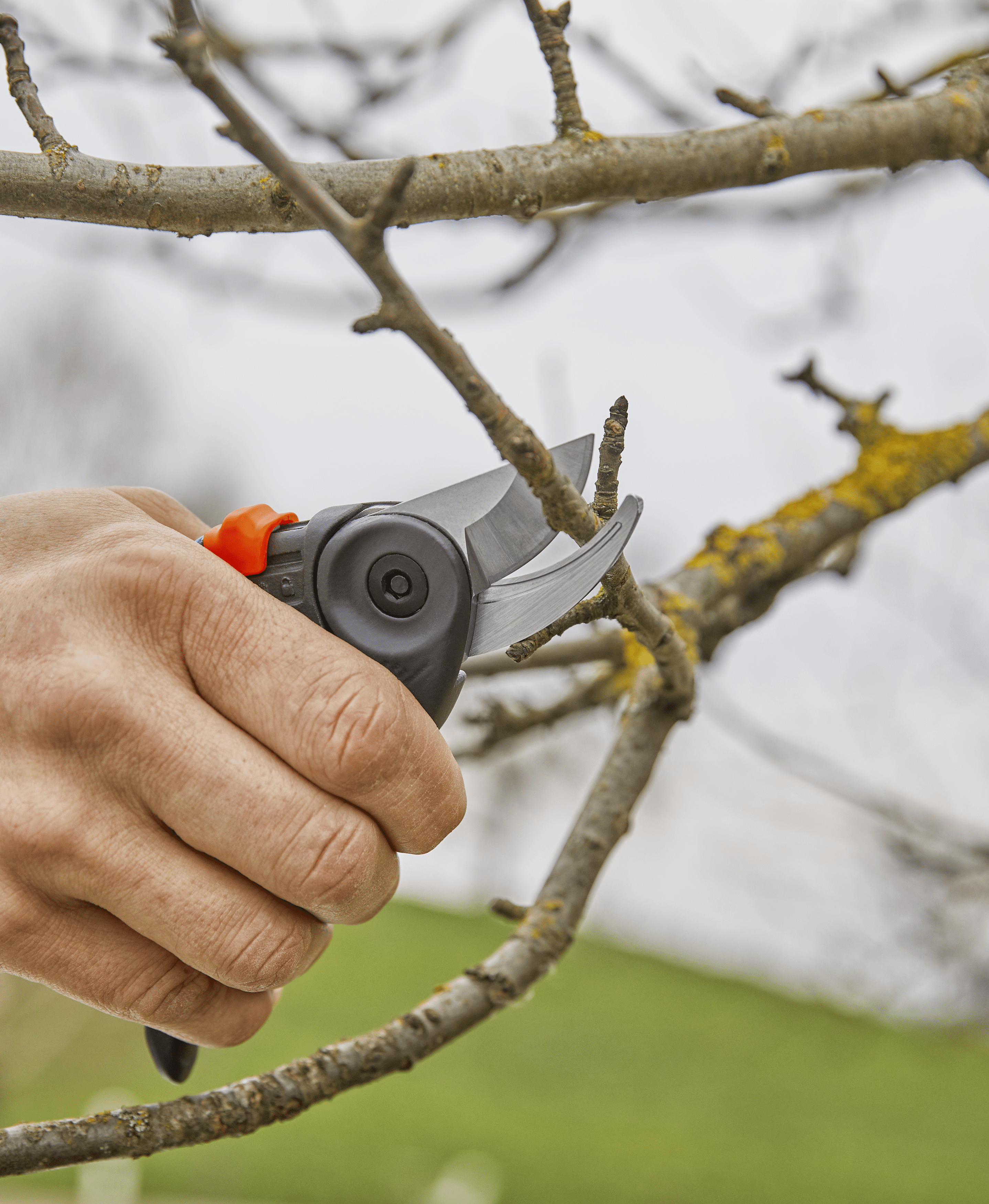 ExpertCut secateurs