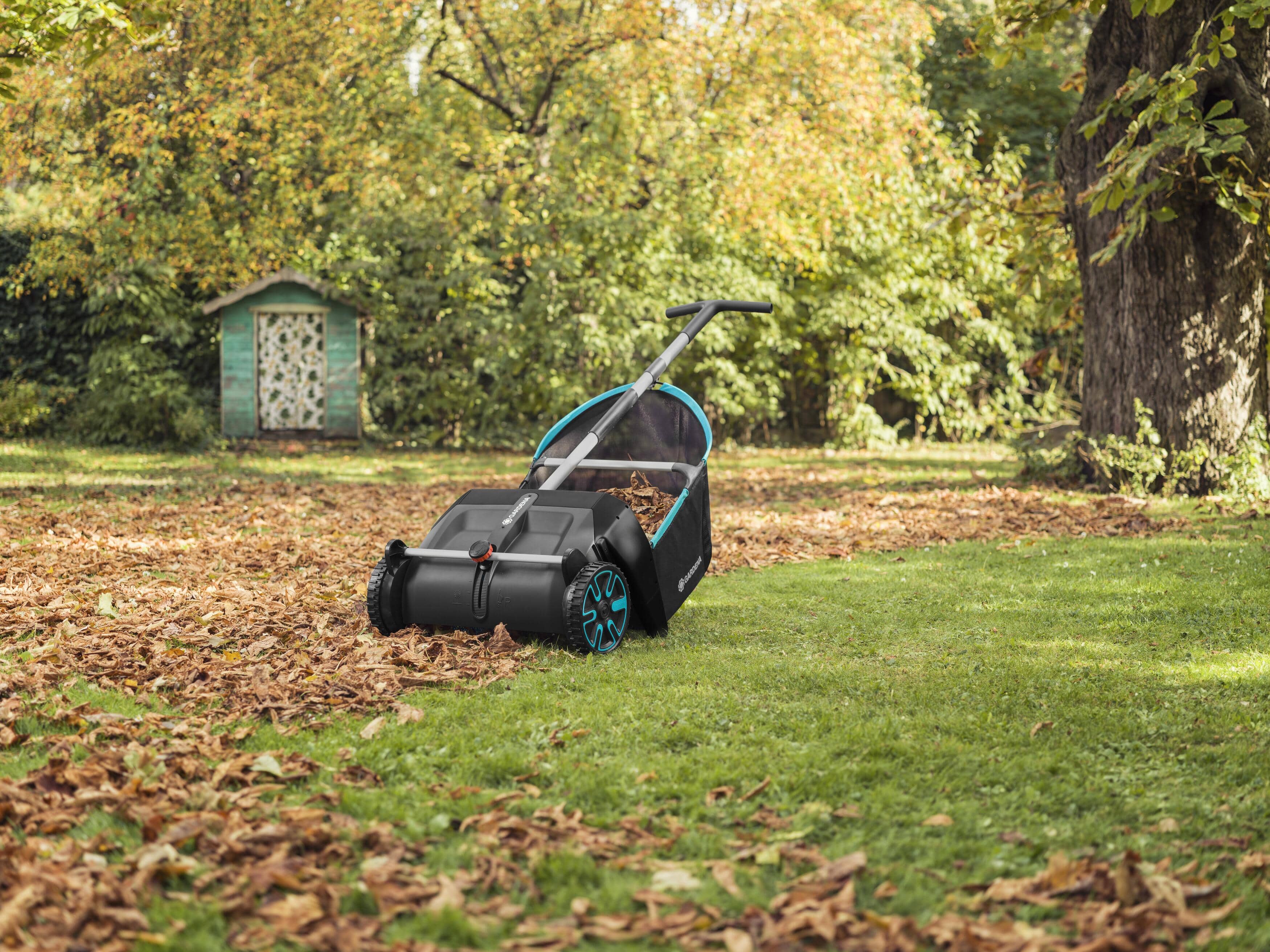 Lawn and Leaf Collector