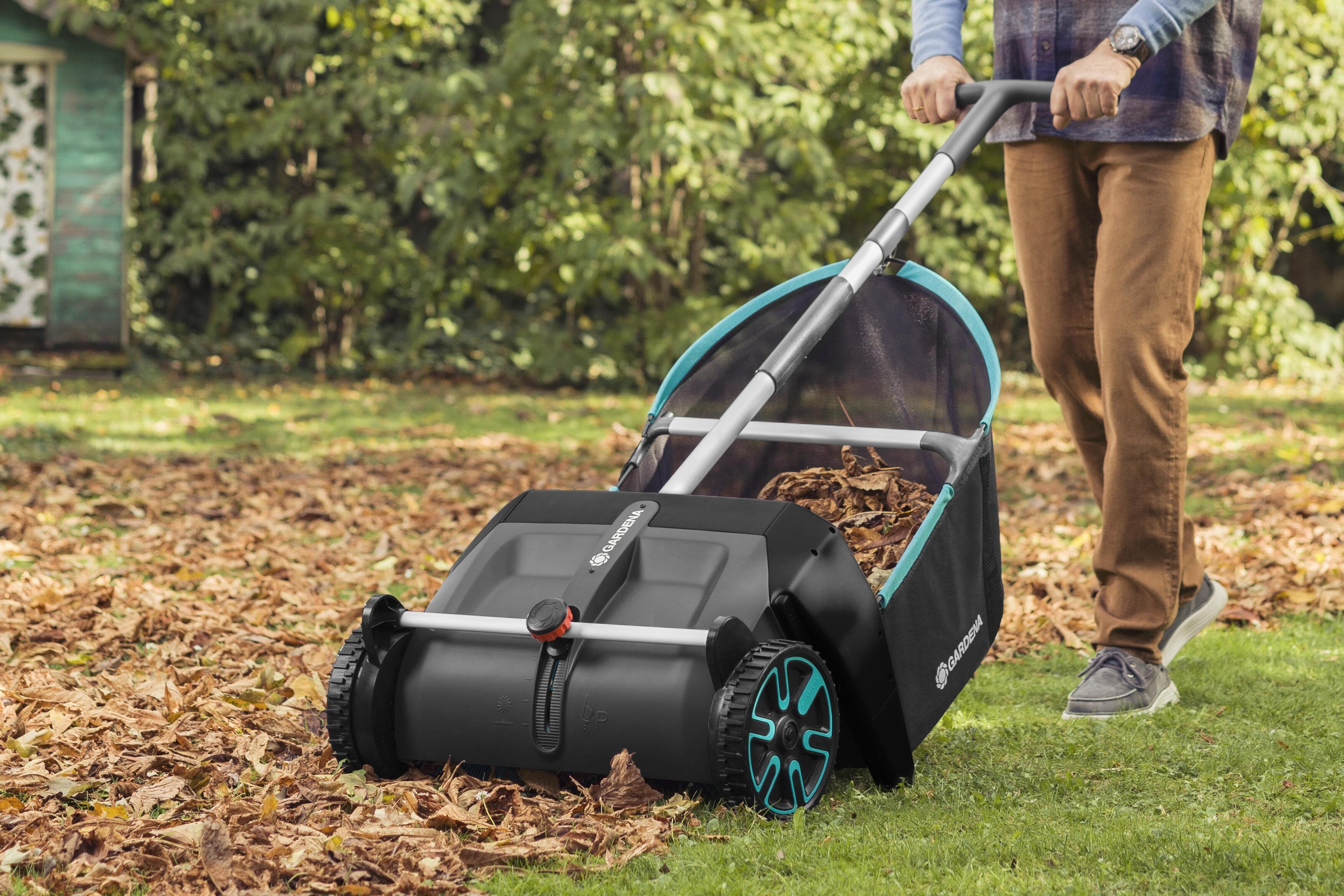 Lawn and Leaf Collector