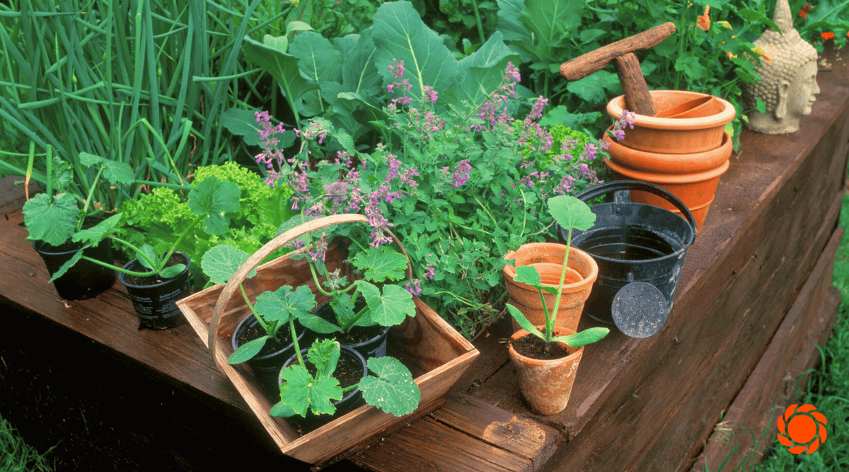 Spring Garden Prep: What You Should Be Doing Right Now