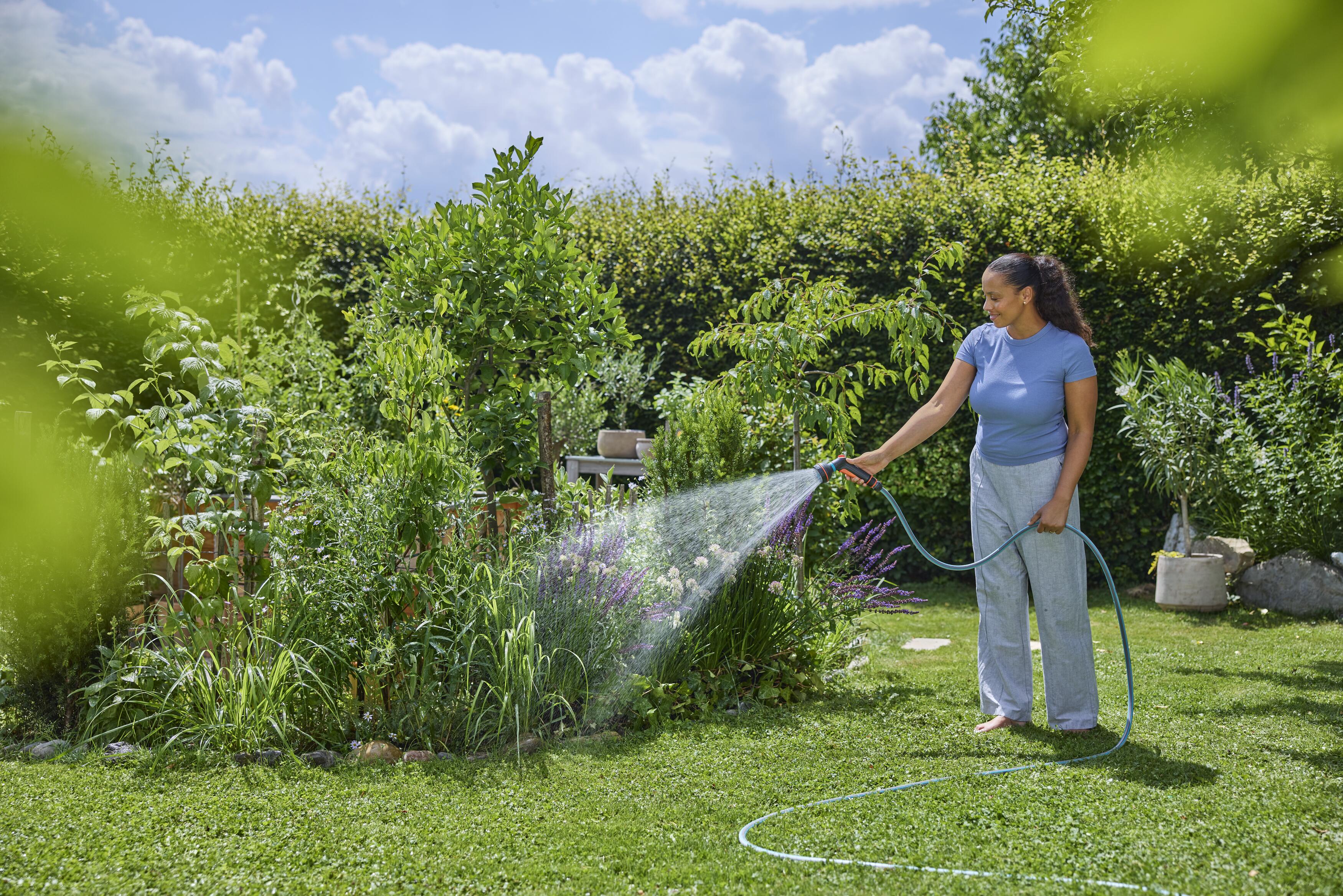 10 golden rules for watering