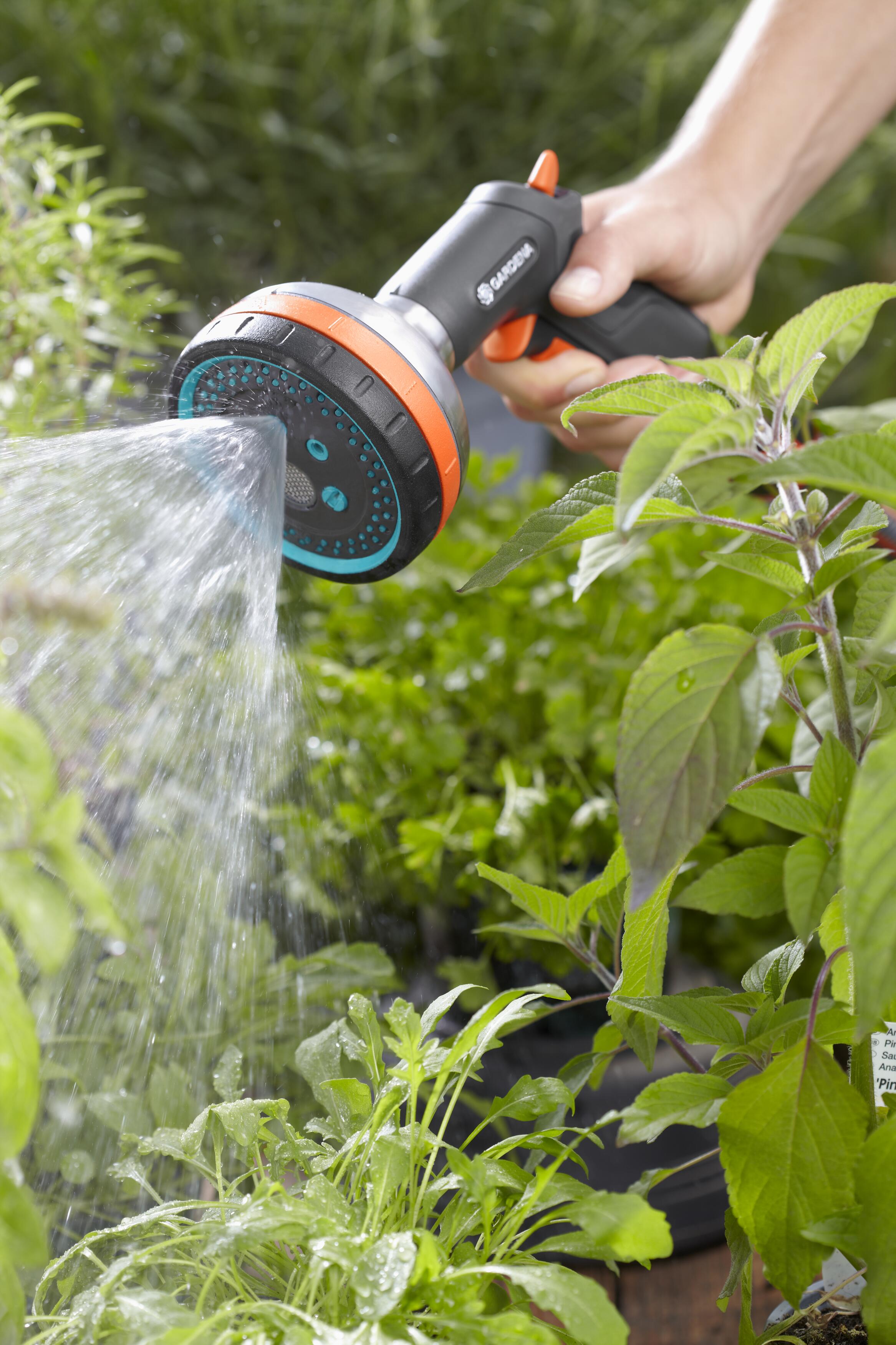 Watering