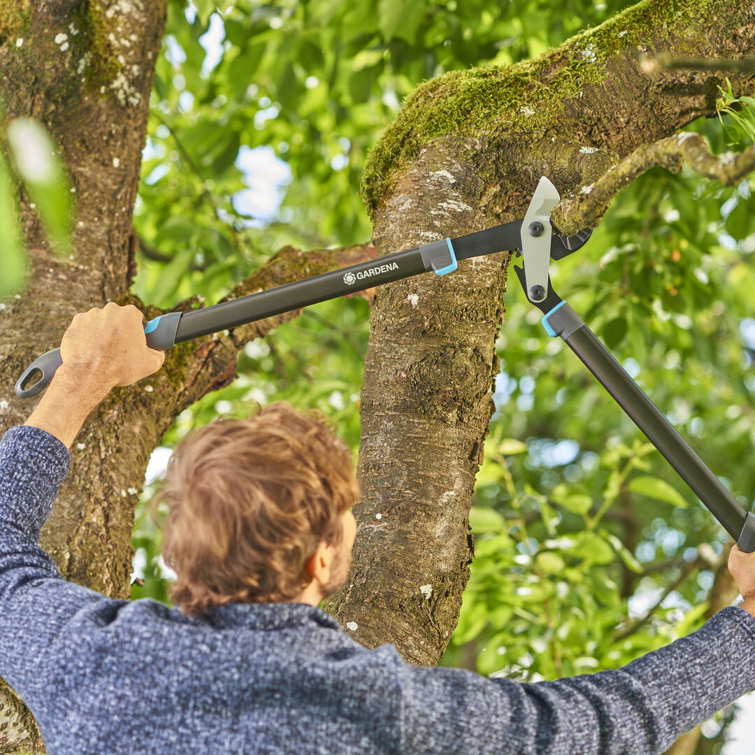 Tree Care Tools – Pruning Saws & Loppers
