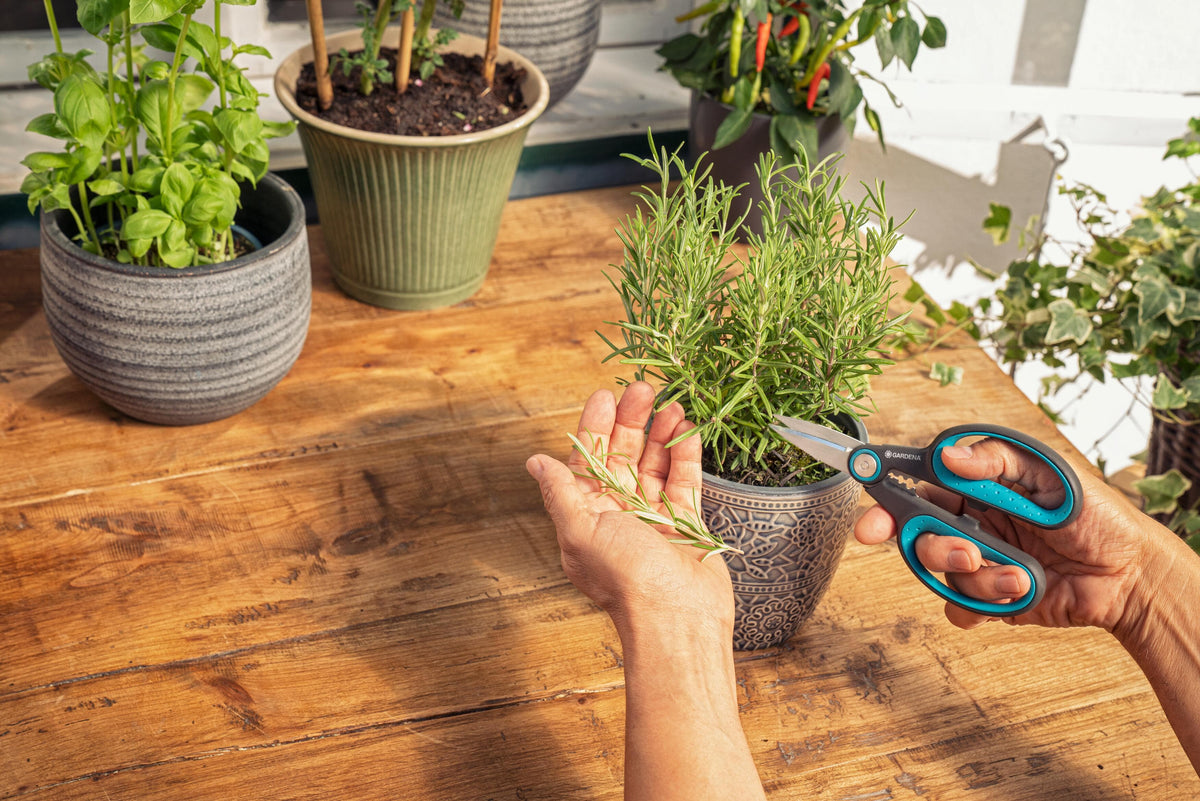 Collections – Gardena