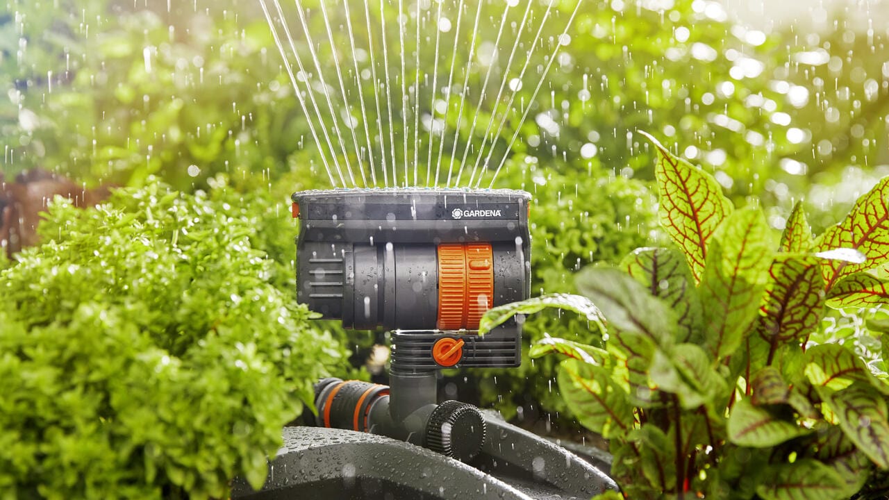 ZoomMaxx Oscillating Sprinkler Mechanical Timer 2300 Sq. Ft. Coverage ...
