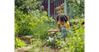 Garden Secateurs ExpertCut