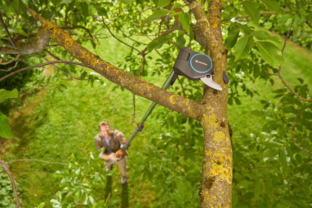StarCut Pro L, Bypass Cut, Telescopic Pruning Lopper
